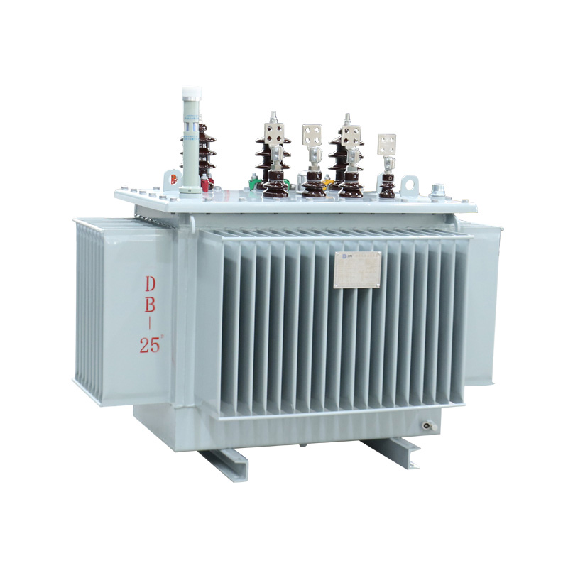 4000 kVa driefasige olie ondergedompeld transformator